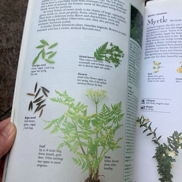 Reader's Digest Herb Reference Hardcover Book - Picture 5 of 11
